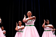 StepShow067